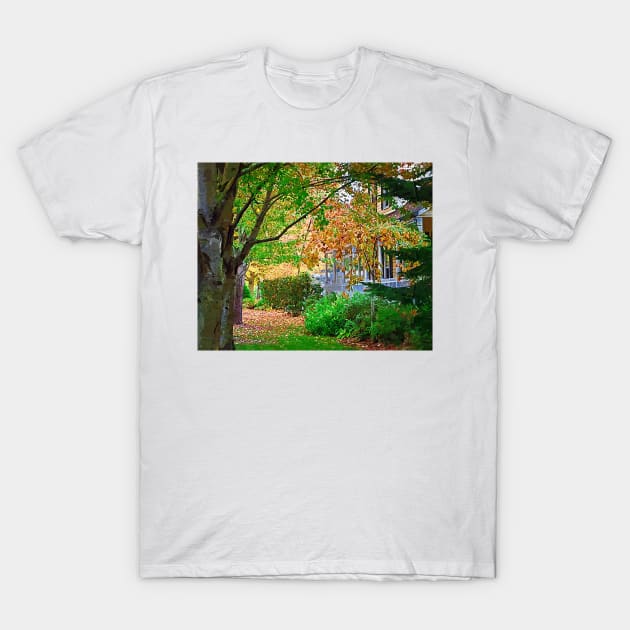 The Front Porch T-Shirt by KirtTisdale